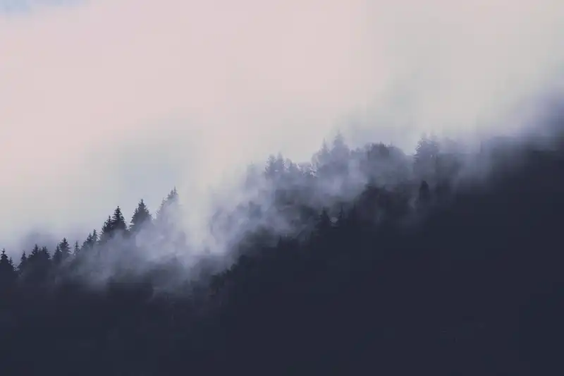 trees_mountain_fog_2